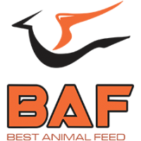 Logo-Baf